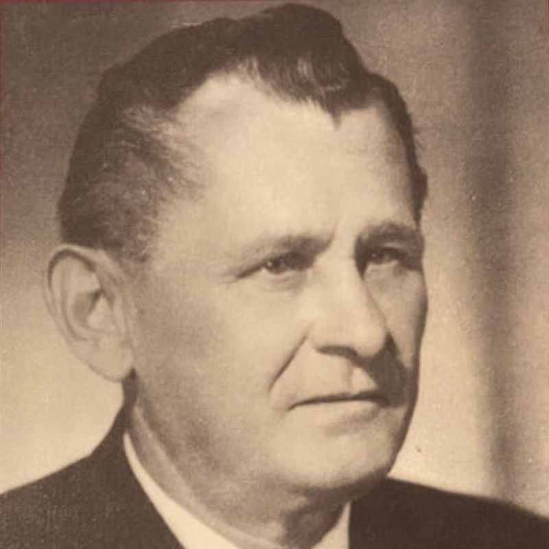 Borovička Antonín